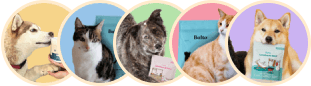 Petits avatars circulaires des chiens et chats des avis clients Balto