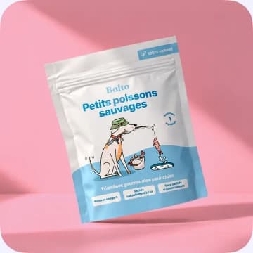 Cadeau de bienvenue offert aux membres du Club Balto