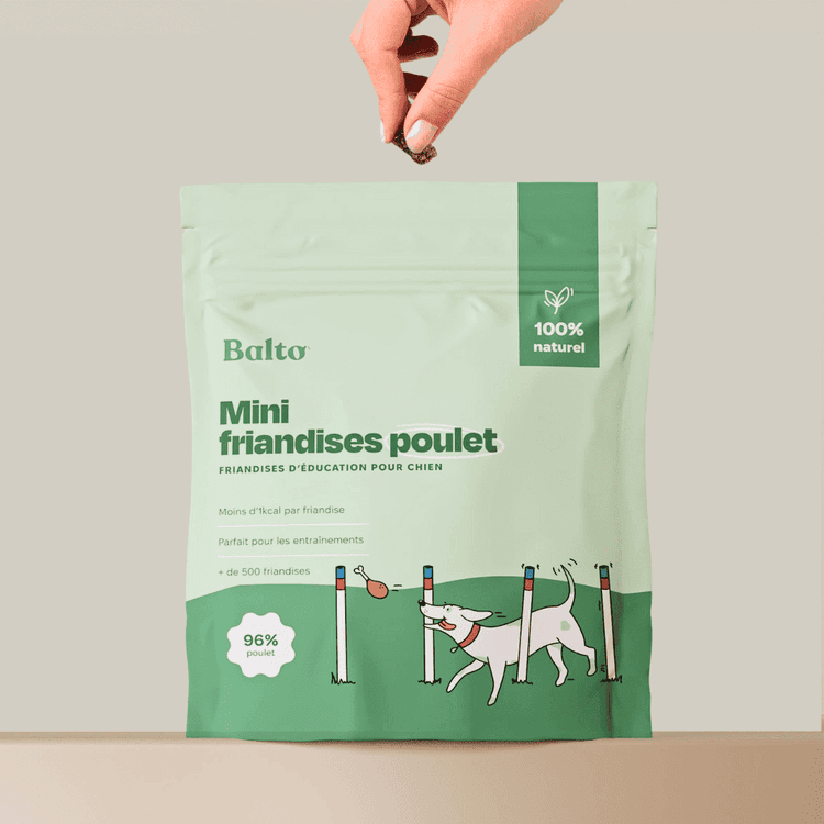 Product Item