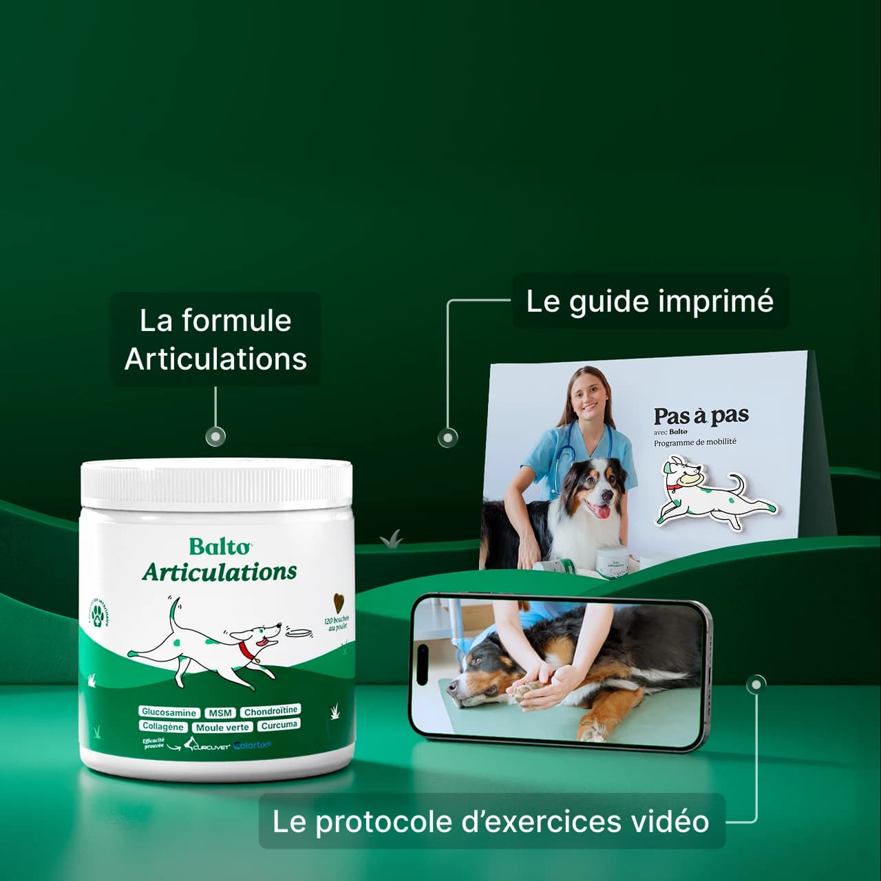 Le programme Pas à pas : la formule Articulations, le guide imprimé et le protocole d’exercices vidéo