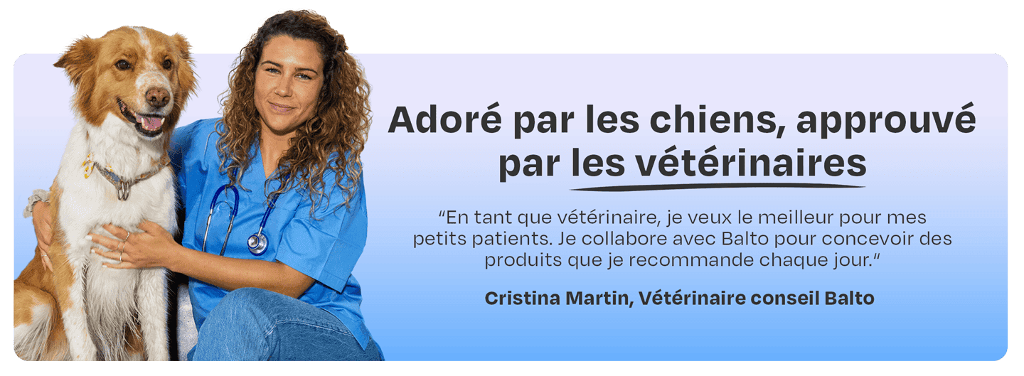Vet