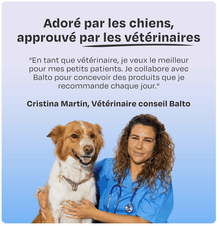 Vet