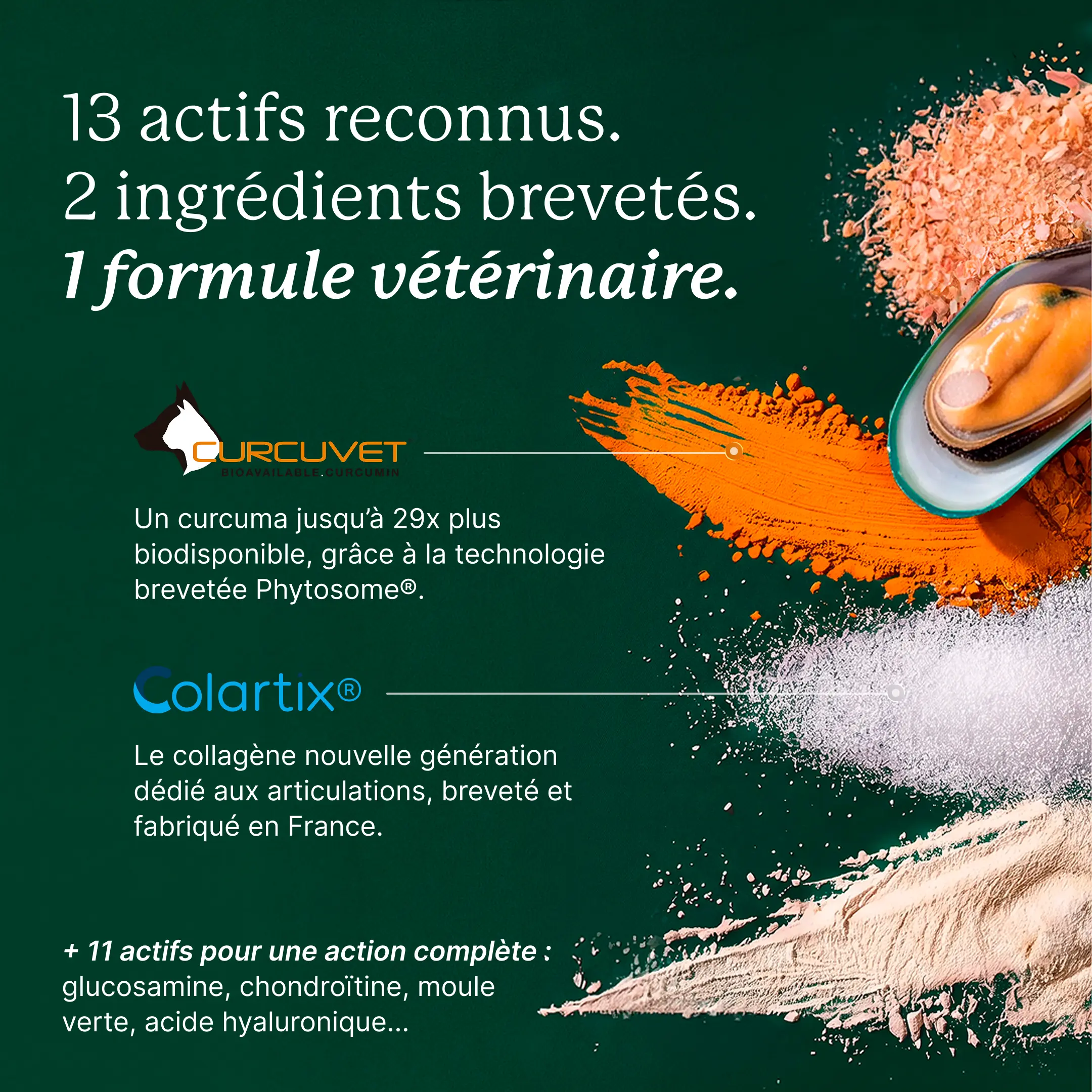 13 actifs reconnus, 2 ingrédients brevetés, 1 formule vétérinaire : curcuma Curcuvet jusqu'à 29 fois plus biodisponible et collagène Colartix breveté et fabriqué en France, avec glucosamine, chondroïtine, moule verte et acide hyaluronique.