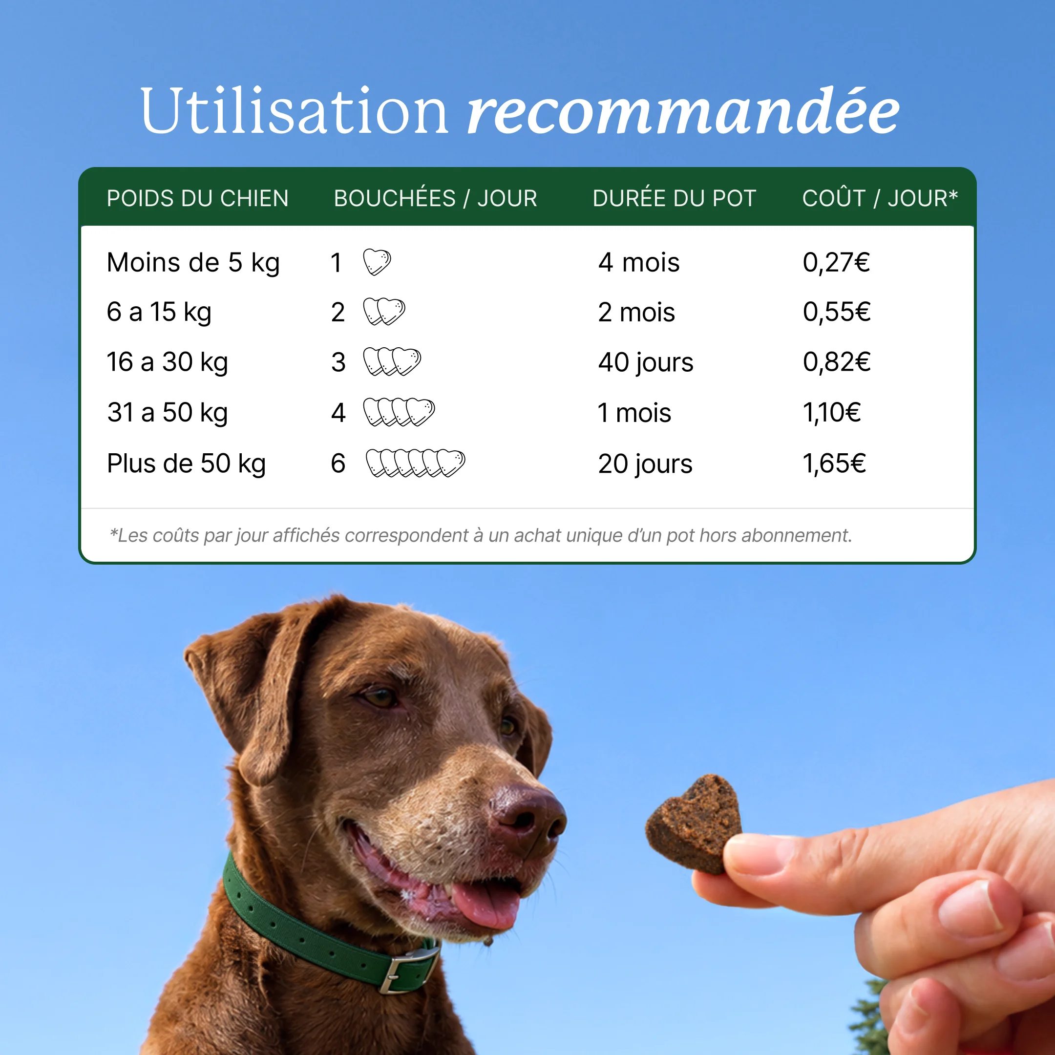 Chien brun regardant une bouchée en forme de cœur. Utilisation recommandée : moins de 5 kg, 1 bouchée par jour, pot de 4 mois, 0,27 € par jour ; 6 à 15 kg, 2 bouchées, 2 mois, 0,55 € ; 16 à 30 kg, 3 bouchées, 40 jours, 0,82 € ; 31 à 50 kg, 4 bouchées, 1 mois, 1,10 € ; plus de 50 kg, 6 bouchées, 20 jours, 1,65 €. Coûts pour un achat unique hors abonnement.
