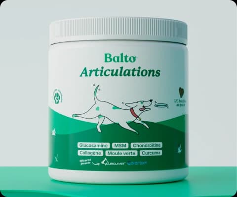Articulations