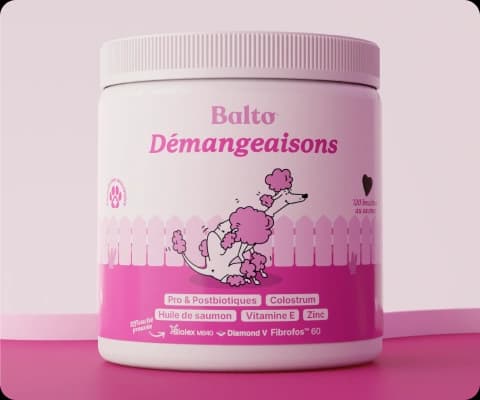 Démangeaisons