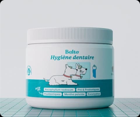 Hygiène dentaire