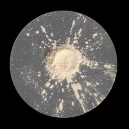 Prébiotiques FOS image