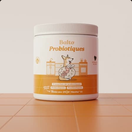 Probiotiques Image