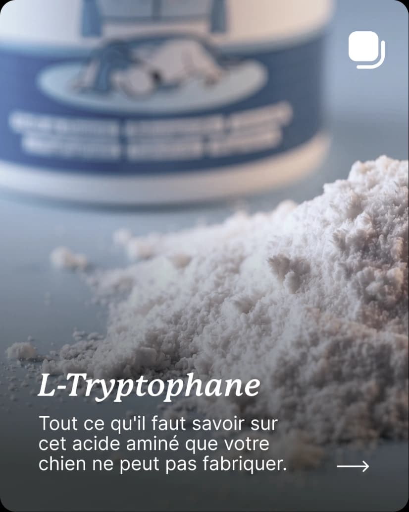 Instagram Carousel 3