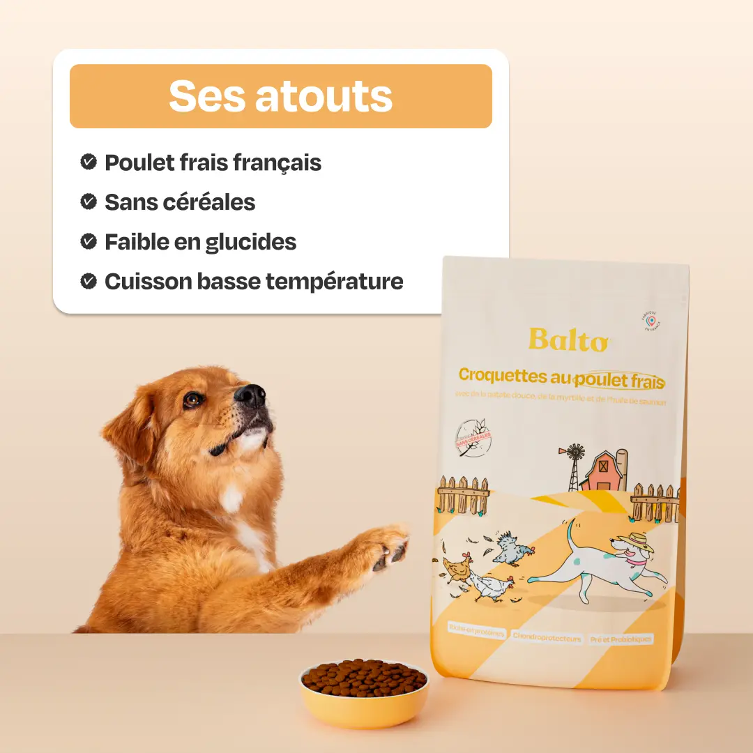 balto product Croquettes au poulet frais image
