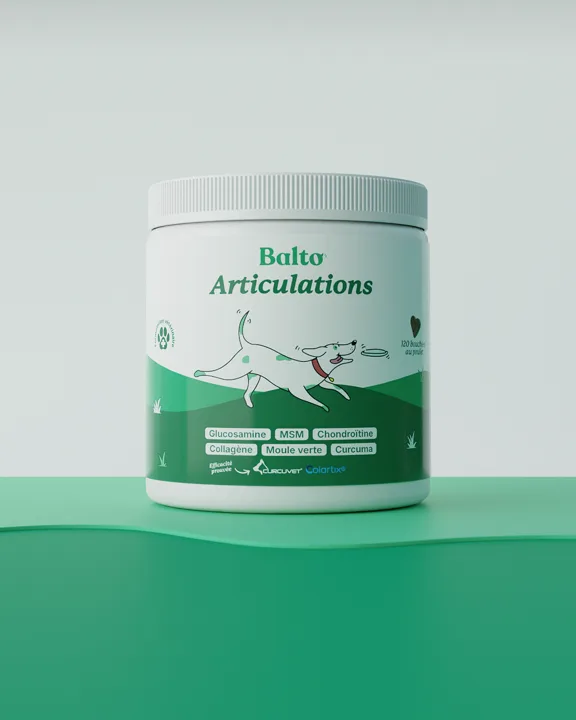 Pot de complément Balto Articulations