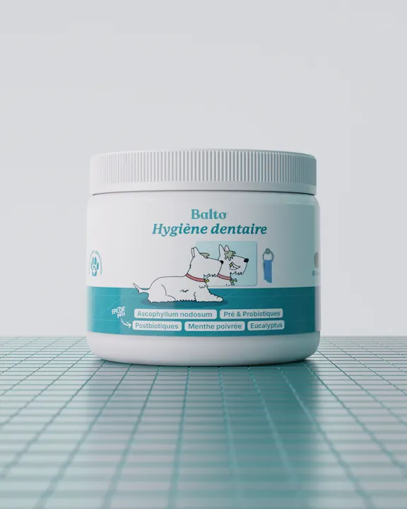 Pot de complément Balto Hygiène dentaire