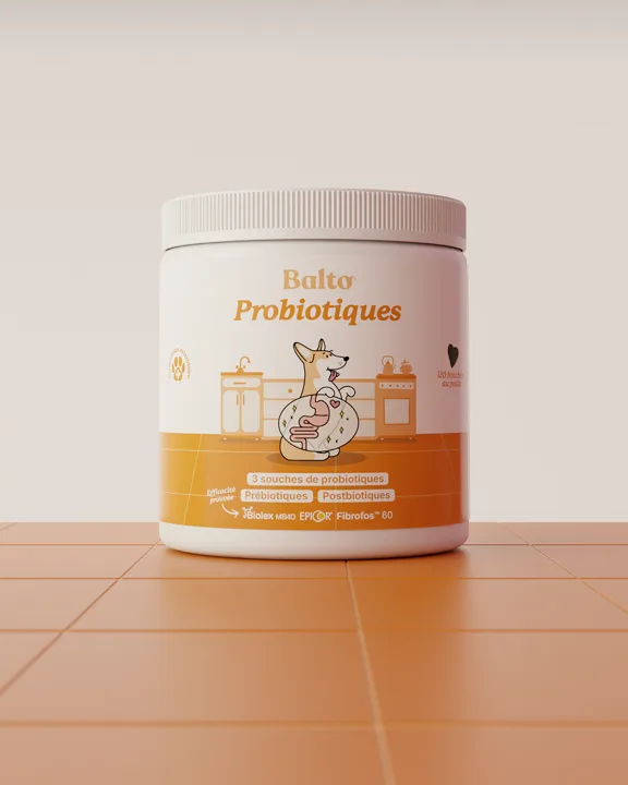 Pot de complément Balto Probiotiques