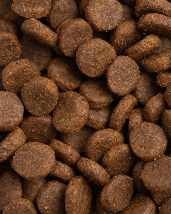 Croquettes au poulet frais texture
