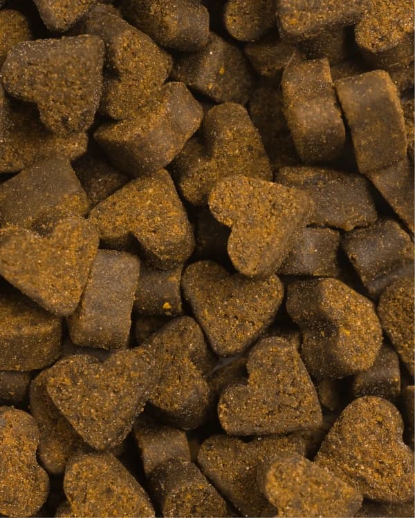 Articulations texture