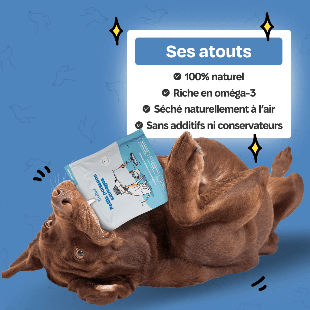 balto product Petits poissons sauvages image